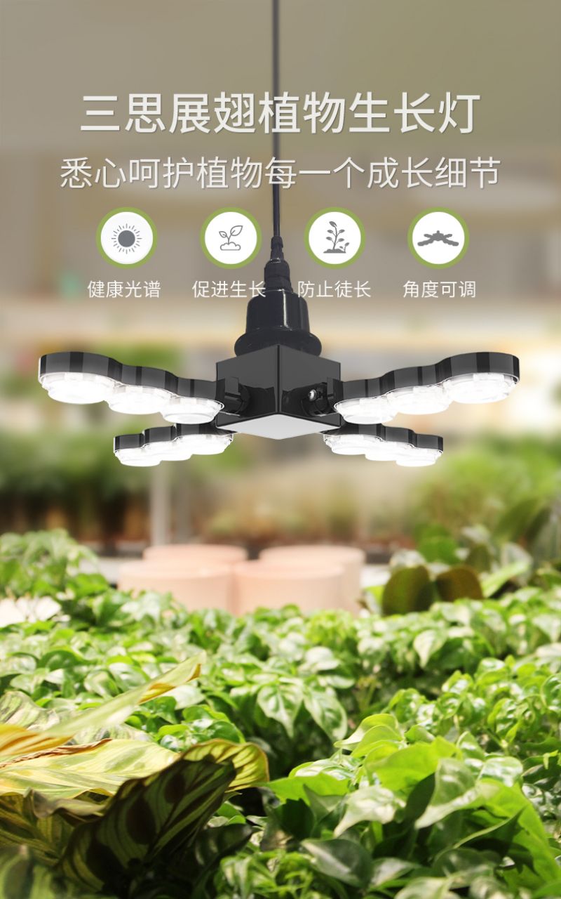 www.91植物燈