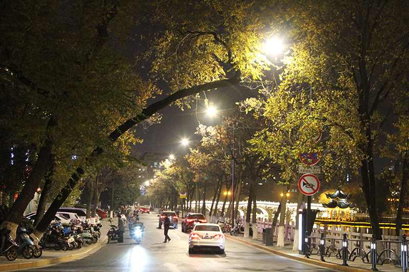 新技術（shù）,道路照明設施,引領（lǐng）城市,智慧化建設
