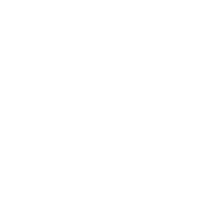 露天（tiān）晚會