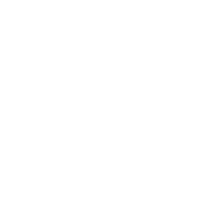植（zhí）物種植
